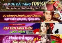 Các Chương Trình Khuyến Mãi Ft179 Cập Nhật Tháng 8/2023 Khuyến mại Ft179 hấp dẫn nhất hiện nay.