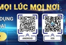 Hướng Dẫn Tải App Ft179 Thỏa Thích Chơi Cá Cược Mọi Lúc Tải app Ft179 ngay hôm nay.